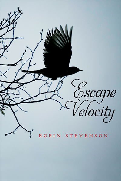 4x6_escape-velocity_cover_RobinStevenson